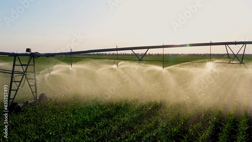 Obraz na płótnie Aerial view pivot at work in potato field, watering crop for more growth