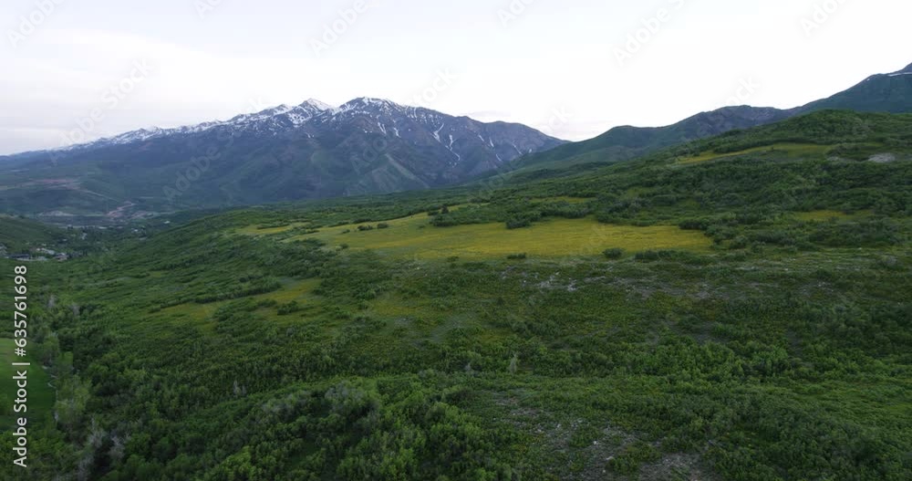 Summer Wildflower Scenery in Ogden Valley Mountains, Utah - Aerial Landscape Summer Wildflower Scenery in Ogden Valley Mountains, Utah - Aerial Landscape