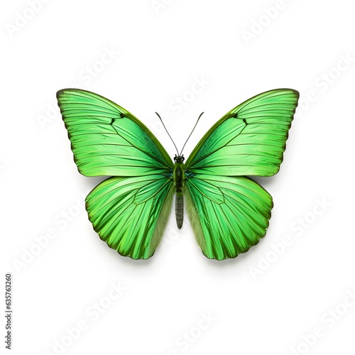 Decorative butterfly artistic design