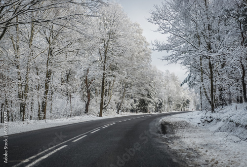 Asphalt road among trees covered with snow in Mazowsze region of Poland © Fotokon