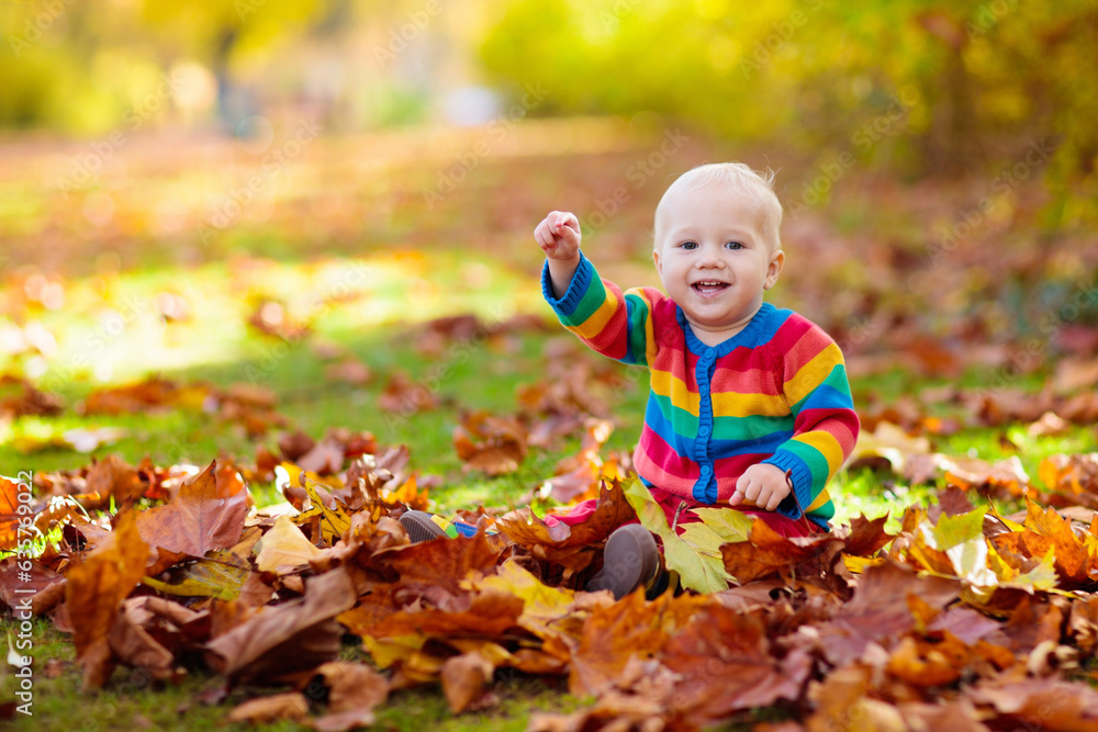 Child in fall park. Kid with autumn leaves. Child in fall park. Kid with autumn leaves.