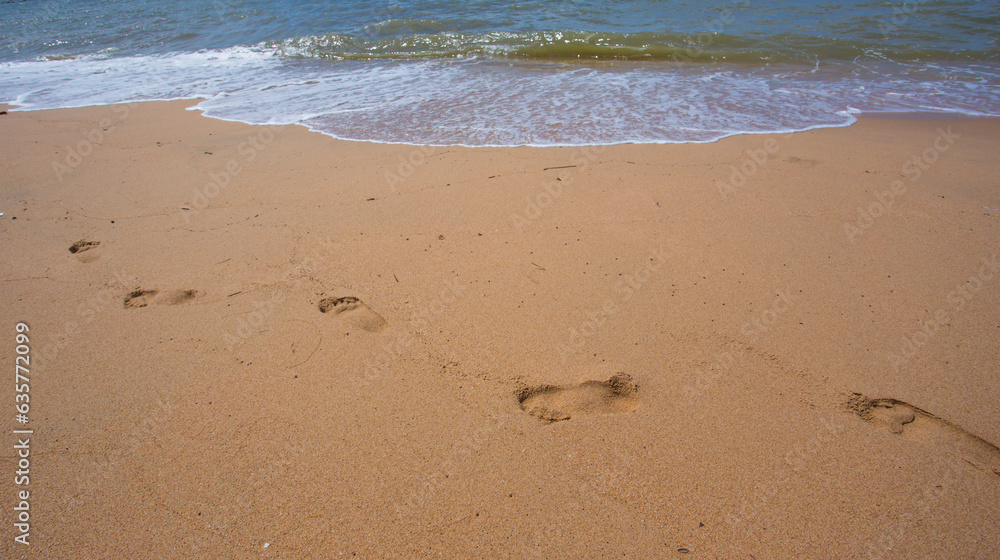 footprints on the beach footprints on the beach