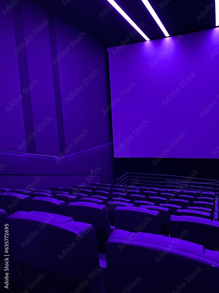 Empty cinema. Empty movie theatre. Modern movies theater for festivals
