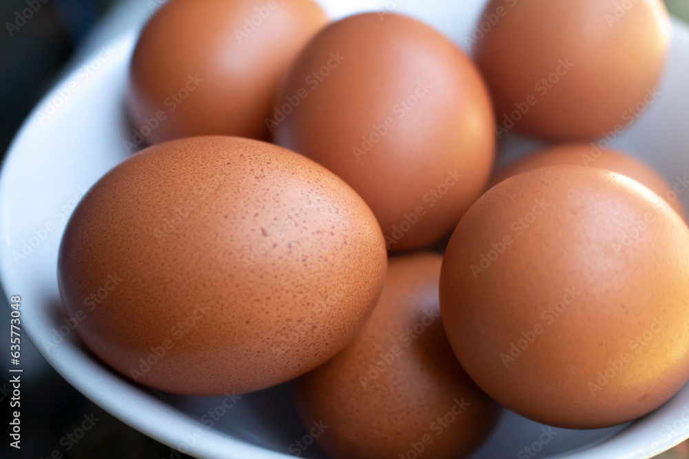 photo of the collected eggs with a close up view photo of the collected eggs with a close up view