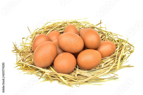 Eggs in a haystack arranged isolated on a white background rich in protein suitable for cooking