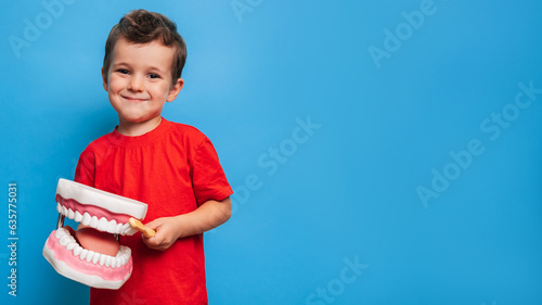 A smiling boy with healthy teeth holds a large jaw and a toothbrush in his hands on a blue isolated background. Oral hygiene. Pediatric dentistry. Rules for brushing teeth. A place for your text.