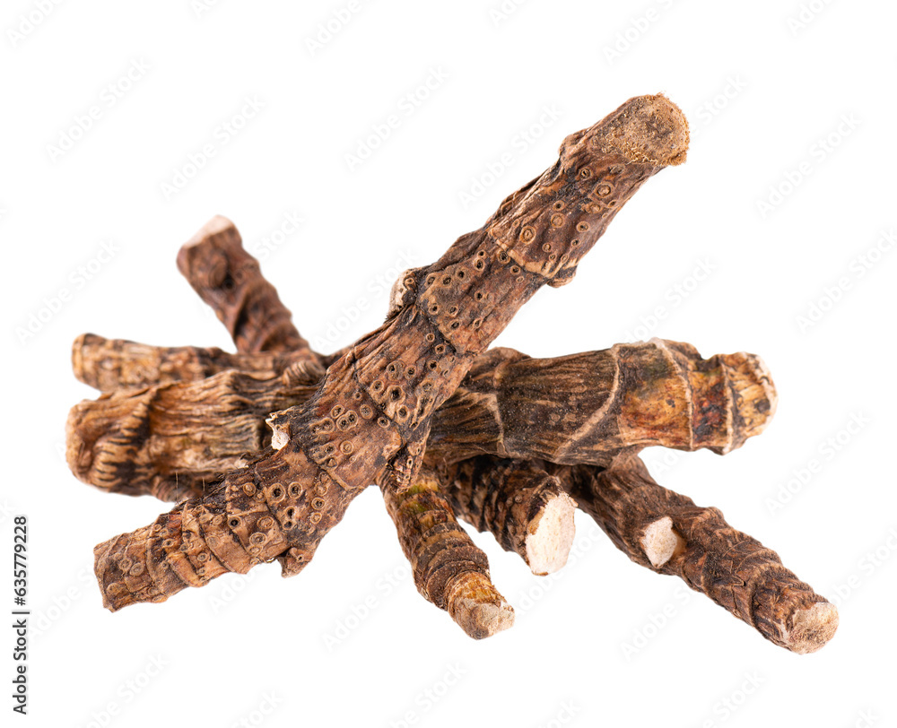 Calamus root isolated on white background. Sweet flag, sway or muskrat root, vasambu. Dry root of Acorus calamus. Calamus root isolated on white background. Sweet flag, sway or muskrat root, vasambu. Dry root of Acorus calamus.