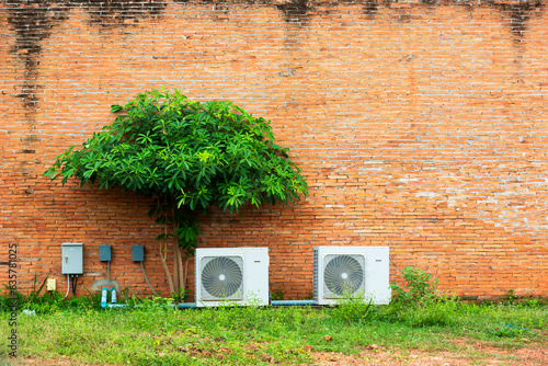 A tree and air condition on old wall blocks at office