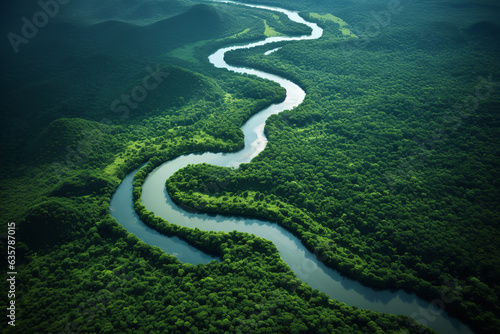 From above, the lifeblood of the jungle is seen: a winding river snaking its way through the dense rainforest canopy