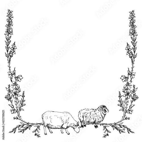 Ink hand drawn vector illustration. Scotland symbols. Grazing wool sheep and ram livestock animals, heather plant flower border. Square frame. Design for tourism, travel, brochure, booklet, print.