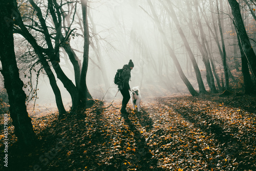 woman and dog strolling in beautiful foggy forest in autumn photo