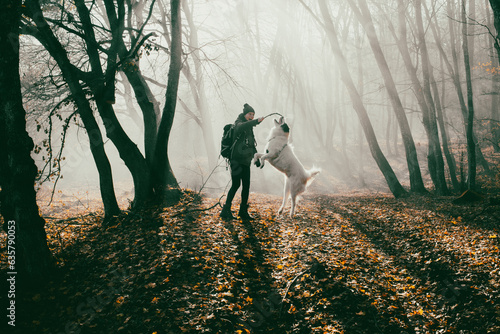 woman and dog strolling in beautiful foggy forest in autumn