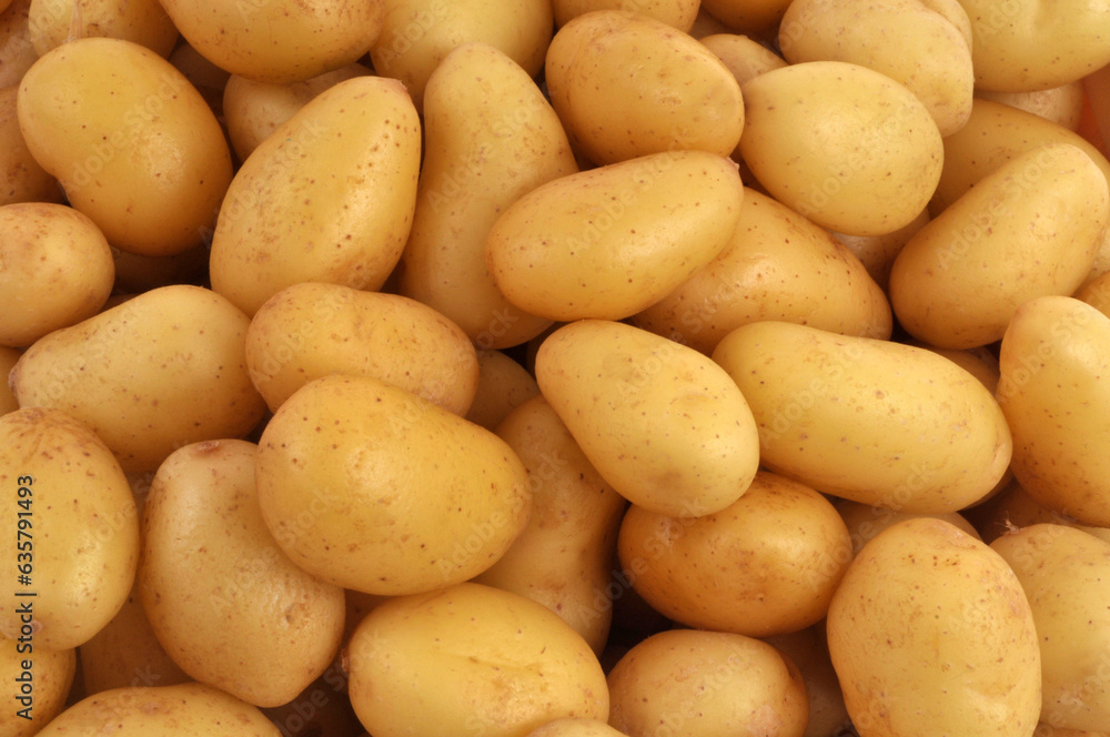 Pommes de terre grenailles crues en gros plan Pommes de terre grenailles crues en gros plan