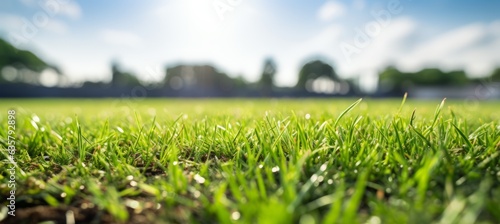 Close up soccer field grass background. Generative AI technology.