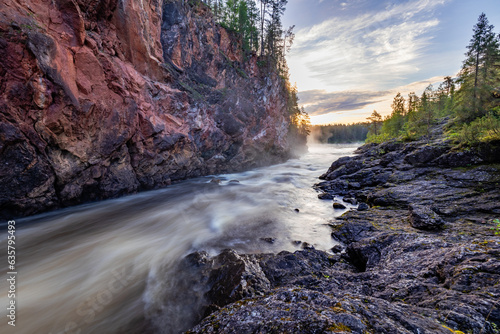 river in the forest