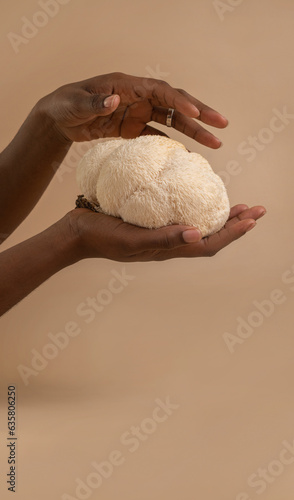 Large lion mane mushroom in beautiful dark skined woman hands on studio beige background