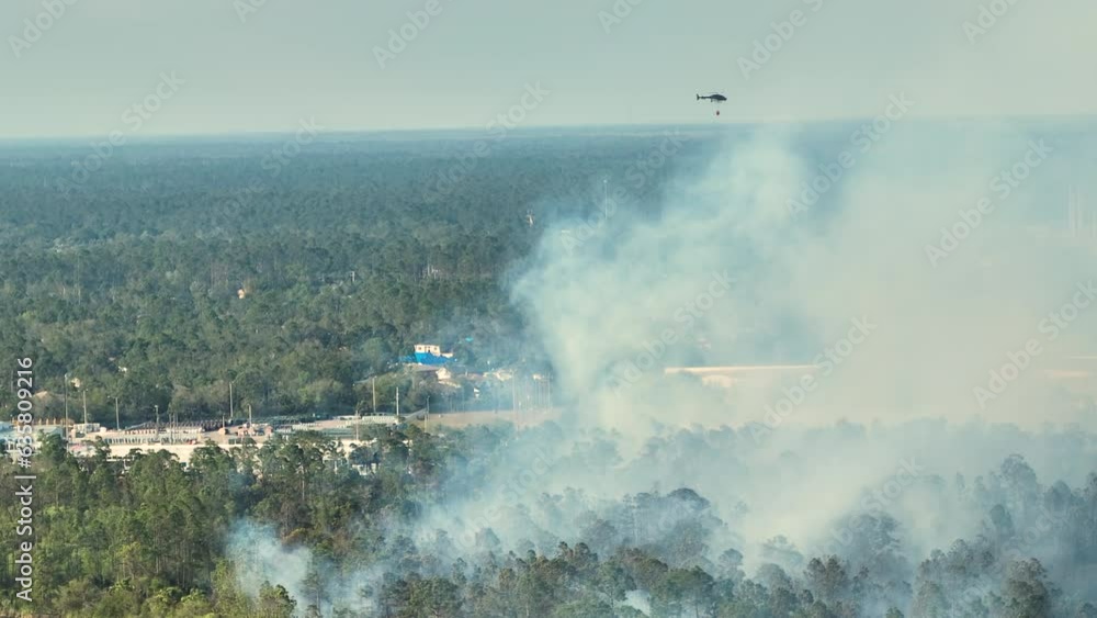 Fire department chopper extinguishing wildfire burning severely in Florida jungle woods. Emergency service helicopter trying to put down flames in forest. Thick smoke rising up Fire department chopper extinguishing wildfire burning severely in Florida jungle woods. Emergency service helicopter trying to put down flames in forest. Thick smoke rising up