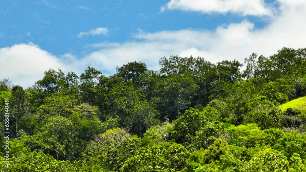 Aerial drone of mountain slopes covered with rainforest and jungle. Sumatra, Indonesia. Aerial drone of mountain slopes covered with rainforest and jungle. Sumatra, Indonesia.