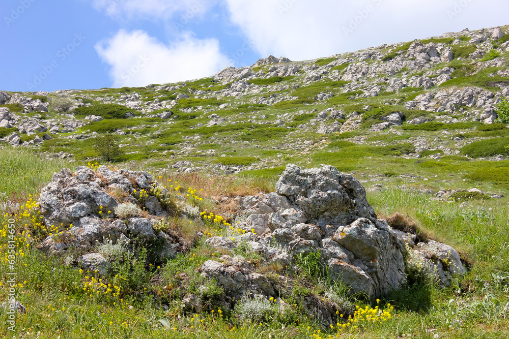blocks of stone on a mountain slope with grass and flowers against a sky with bolaks and a slope with stones during the day in Europe