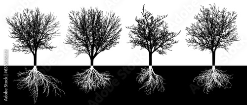 Bare deciduous trees with root system, silhouette. Black trees and white roots. Vector illustration