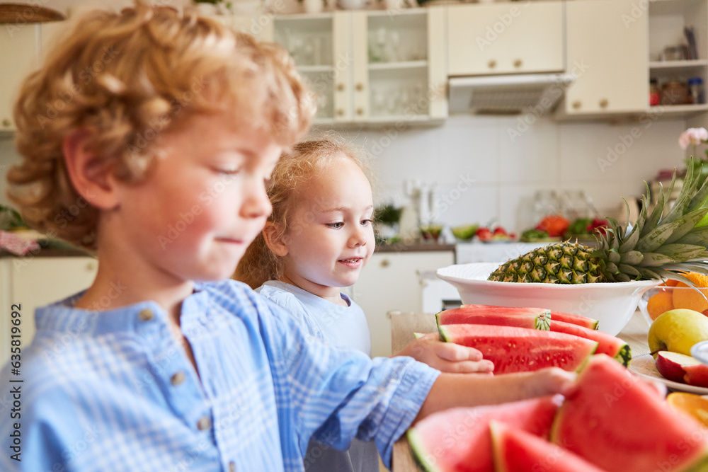 Brother and sister choosing watermelon slices at home Brother and sister choosing watermelon slices at home