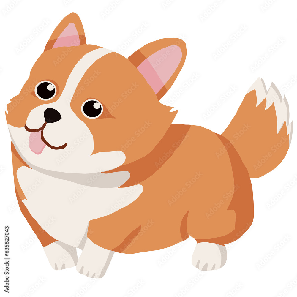 Corgi dog Corgi dog