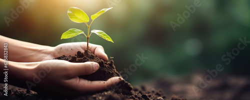 Hands holding soil with growing young plant on green nature background. Eco concept. Copy space