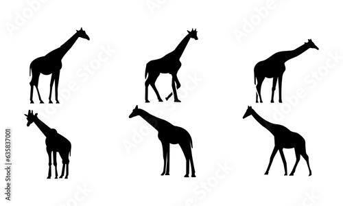 vector of giraffes in silhouette style or silhouettes of giraffes 