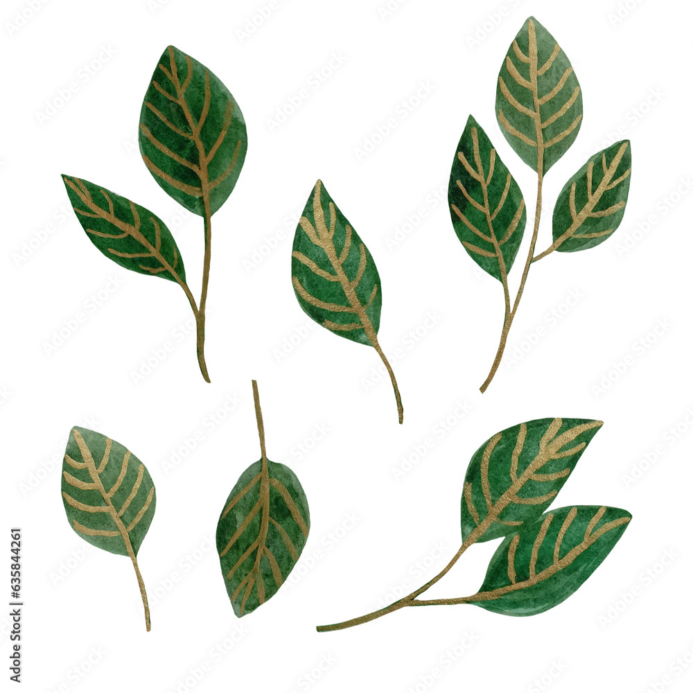 Naklejka premium Watercolor designer elements set collection of green leaves. Decorative beauty elegant illustration for design