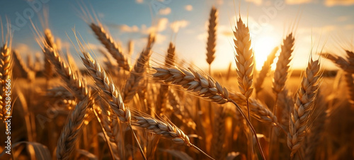 Wheat field at sunset. Generative AI.