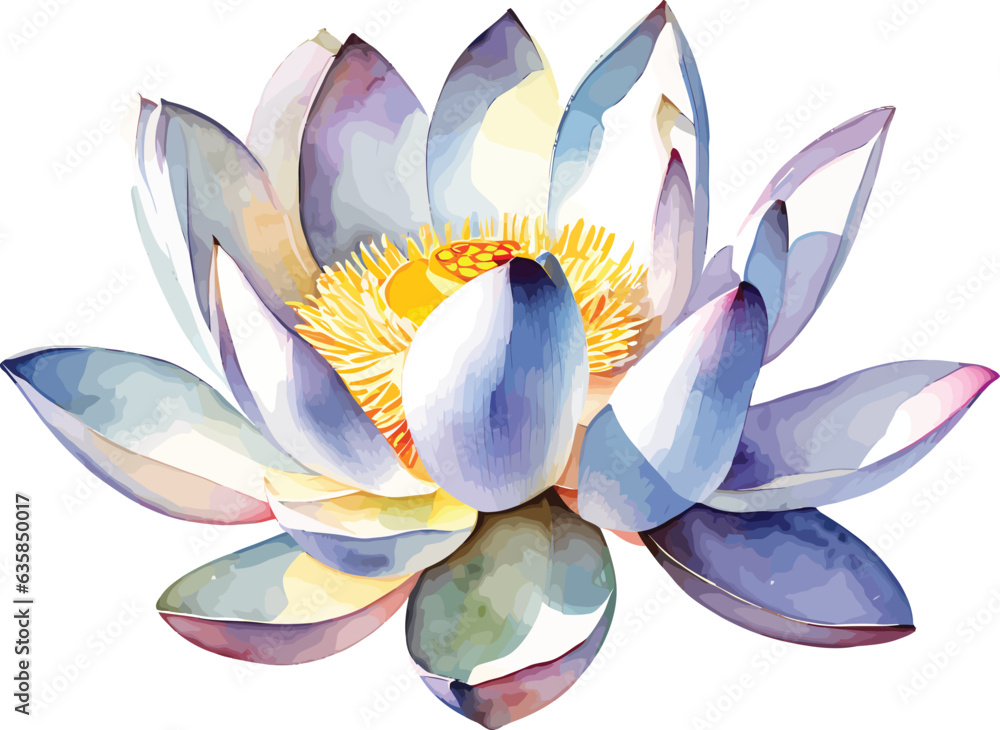 water color lotus handrawn vector isolated