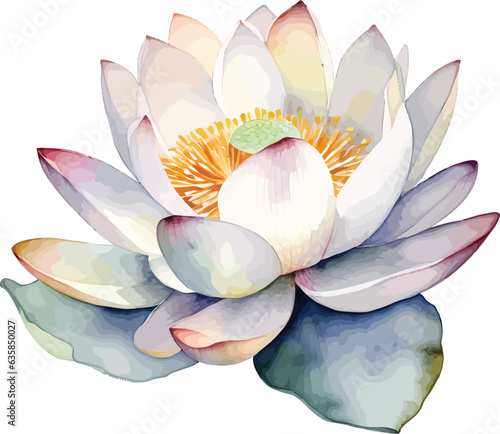 Fotografia water color lotus handrawn vector isolated