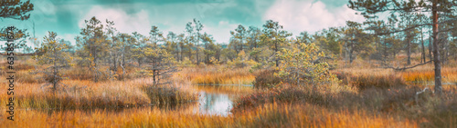 Bright Dramatic Sky Above Wetland. Panoramic View On Natural Swamp. Nature Reserve At Autumn Sunny Day. Coniferous Trees At Bog.