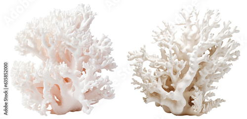 Set of white coral isolated on transparent background. Generative AI