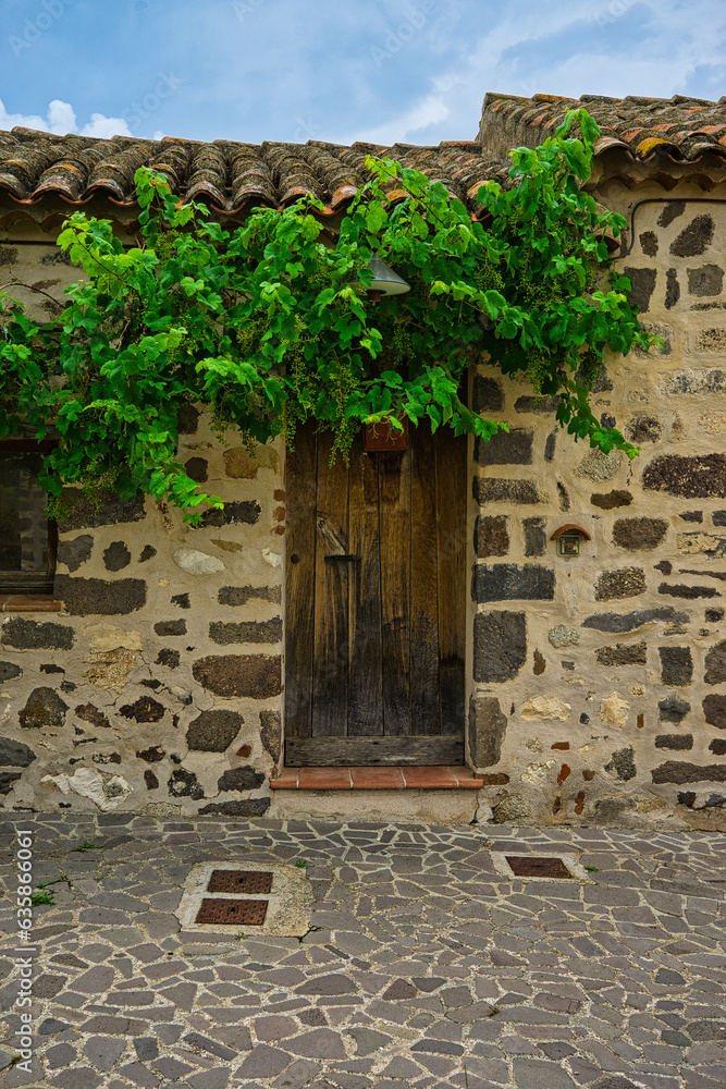 wooden, front door of a stone house almost covered by vegetation