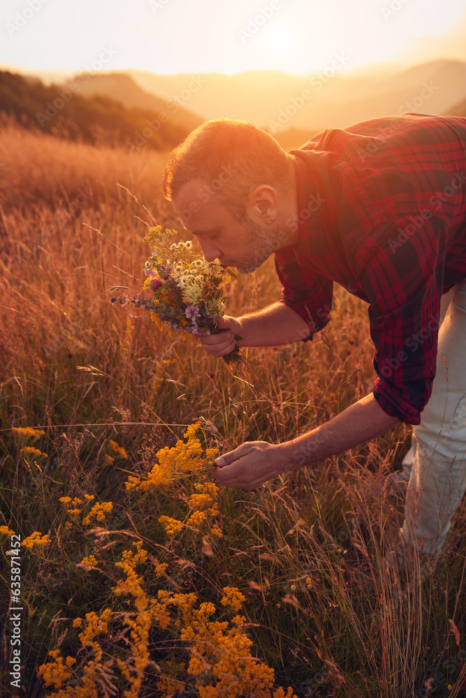 Fototapeta premium Man picking and holding field flowers in nature.