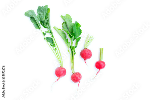 Fresh radish with green leaves isolated on white background, Organic vegetable