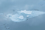 Pale blue ice floes on water