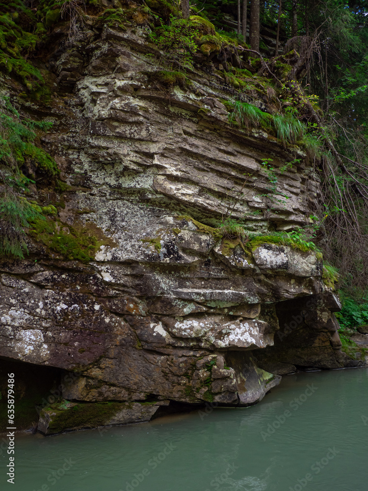 Scenic view of canyon with river and green trees in summer in Carpathian mountains. Beautiful rocky canyon in Ukraine. Travel, hiking, adventure. River coursing in canyon through the coniferous woods.