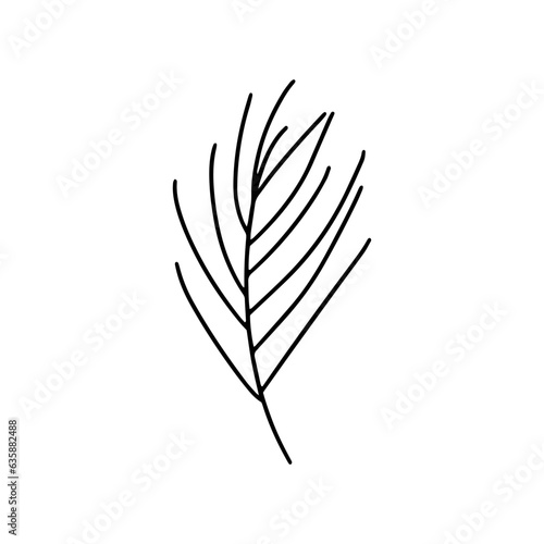 Pine tree branch vector sketch
