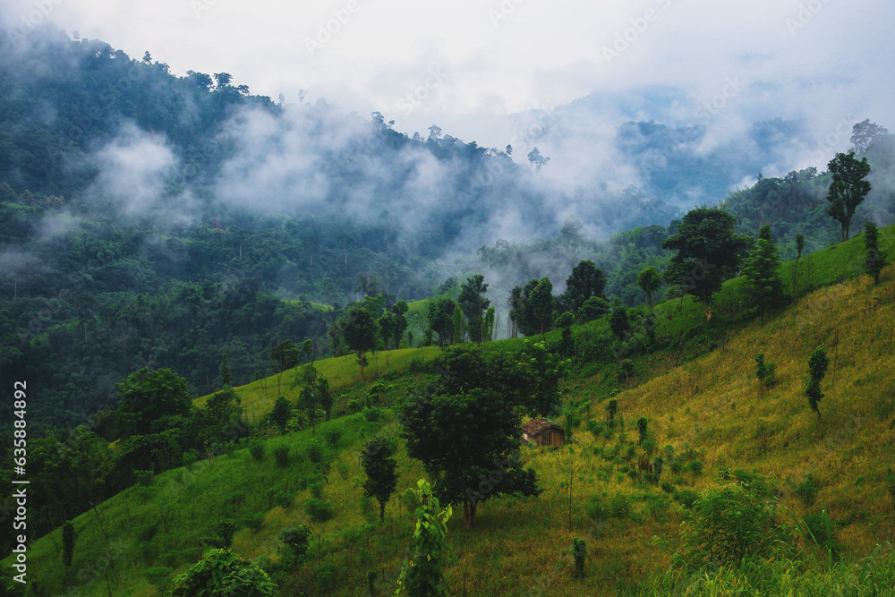 Obraz premium Embracing the calm within the clouds of a new morning