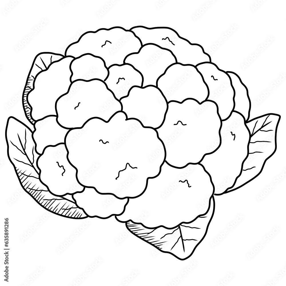 Doodle cauliflower Doodle cauliflower