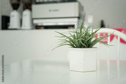 A flowerpot with aritifical houstplant is placed on white table at cafe restaurant that decorated as the minimal style. Interior decoration object photo. Selective focus. photo