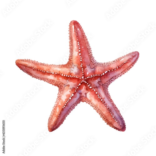 Starfish isolated on white background in watercolor style