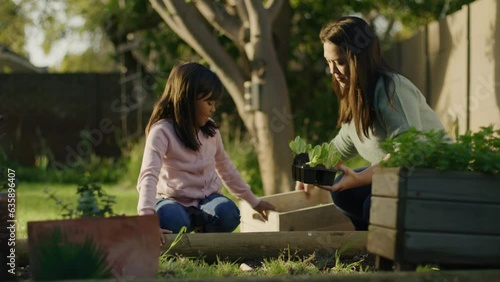 Daughter helping mother in the garden on a sunny afternoon