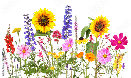 Colorful summer flowers with  transparent background	
