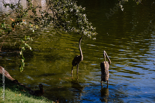 sculptural composition. Herons on the pond. Birds on the shore of the reservoir. Gracefulness.