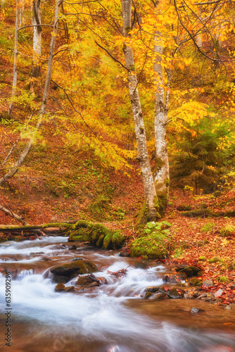 Autumn's Serenade: A Serene River Journey Through the Enchanting Forest © Ryzhkov Oleksandr