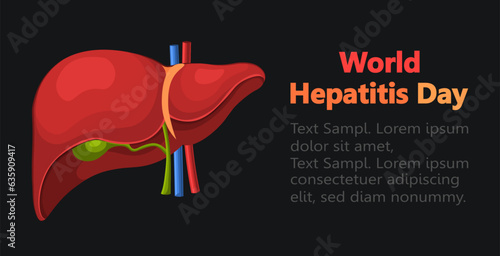 World Hepatitis Day, 28 July. Human liver for medical drug design, pharmaceutical development and education. Flat illustration of human liver isolated on black background. Place for your text.
