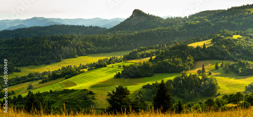 Green landscape in Slovakia mountains near Szczawnica. Spring in Pieniny mountains. Spring landscapes of Slovakia. Panoramic green landscape.